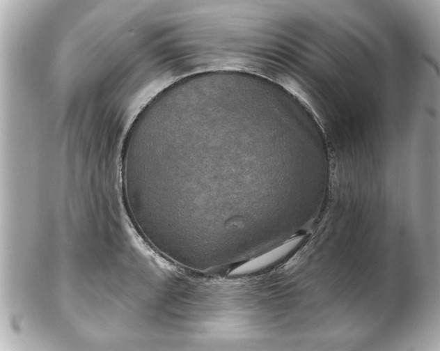 X0000102491088200808151450