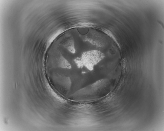 X0000102491091200808151450