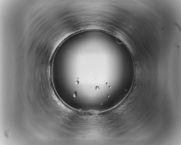 X0000102491092200808151450