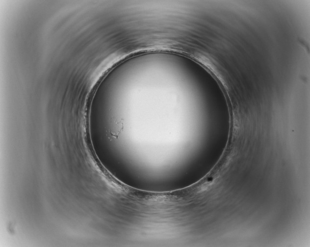 X0000102491093200808151450