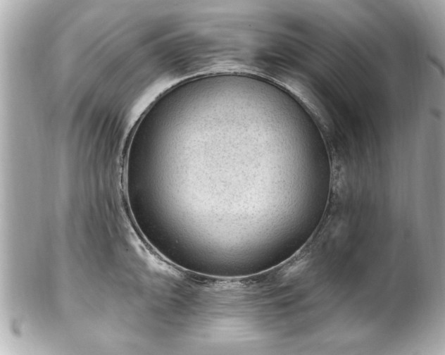 X0000102491094200808151450