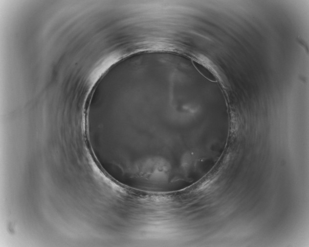 X0000102491095200808151450