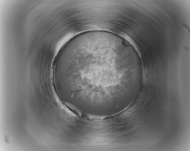 X0000102491096200808151450