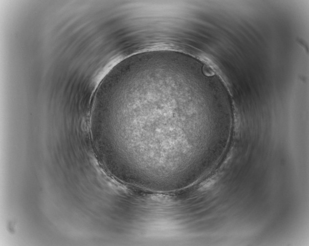 X0000102491097200808151450