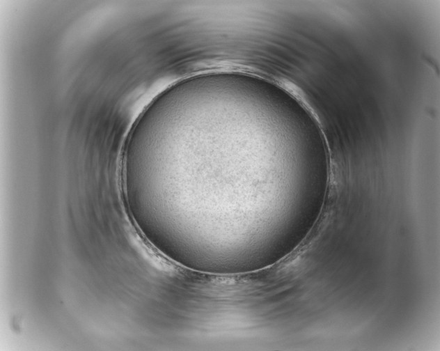 X0000102491098200808151450