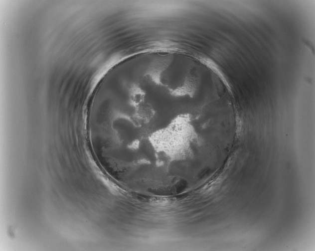 X0000102491099200808151450