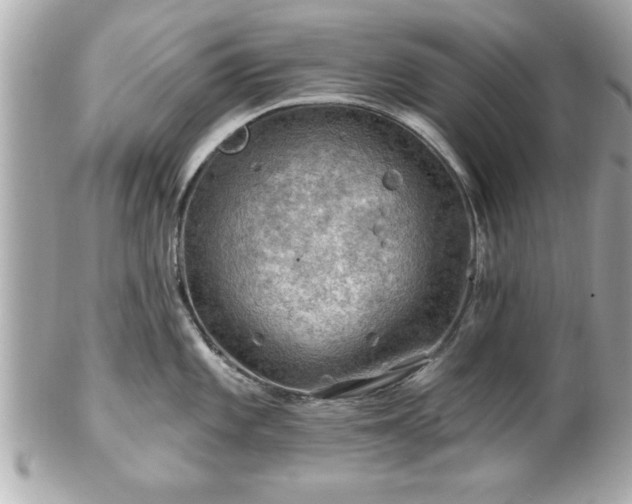 X0000102491101200808151450