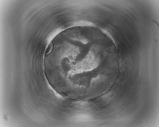 X0000102491103200808151450