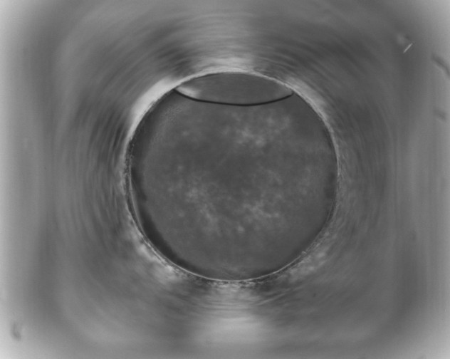 X0000102491104200808151450