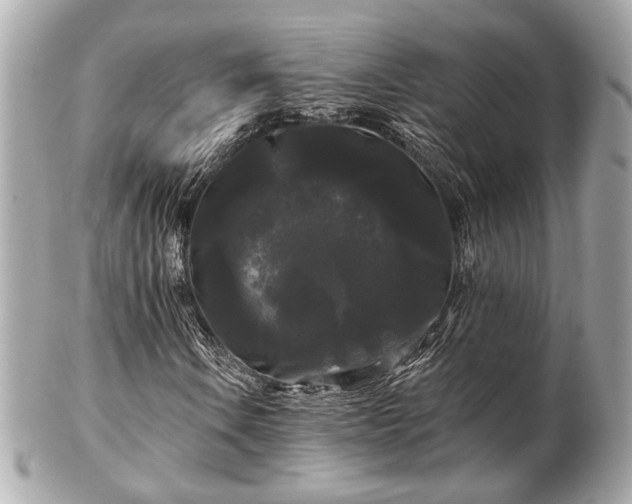 X0000102491106200808151449