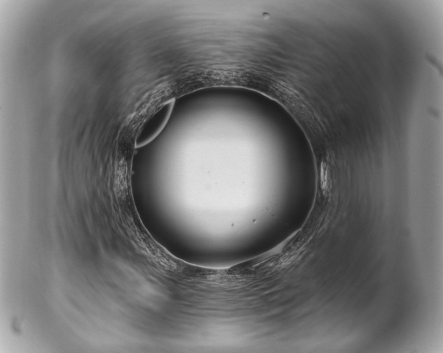 X0000102491107200808151449