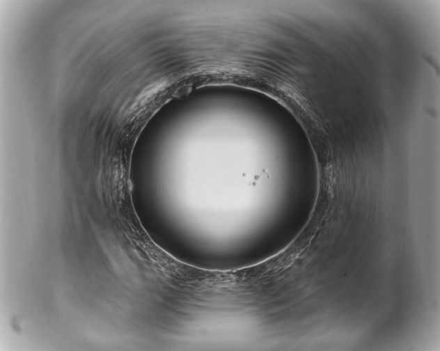 X0000102491111200808151449