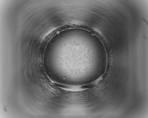 X0000102491112200808151449