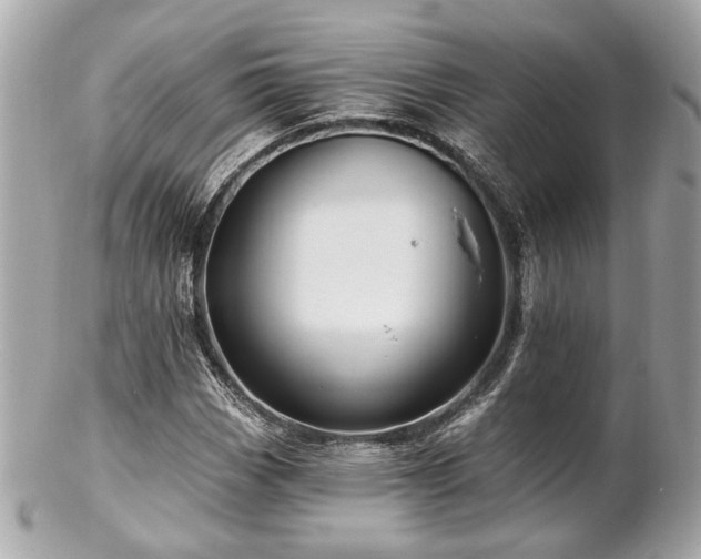 X0000102491113200808151449