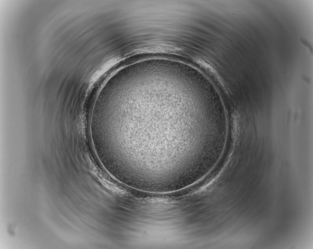 X0000102491114200808151449