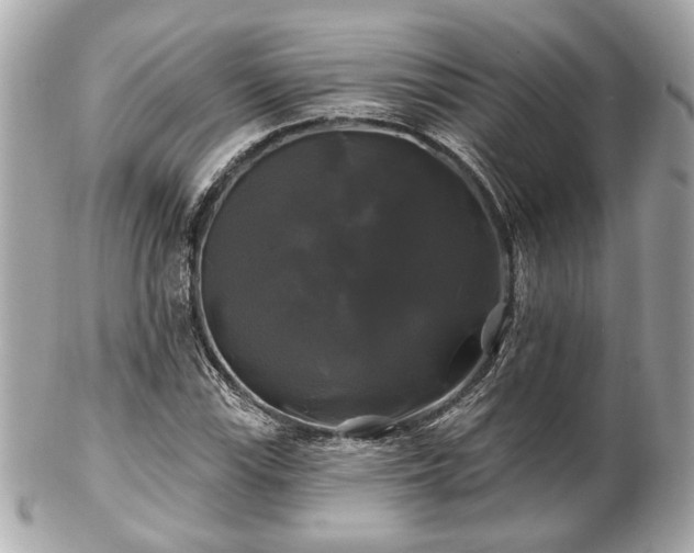 X0000102491115200808151449