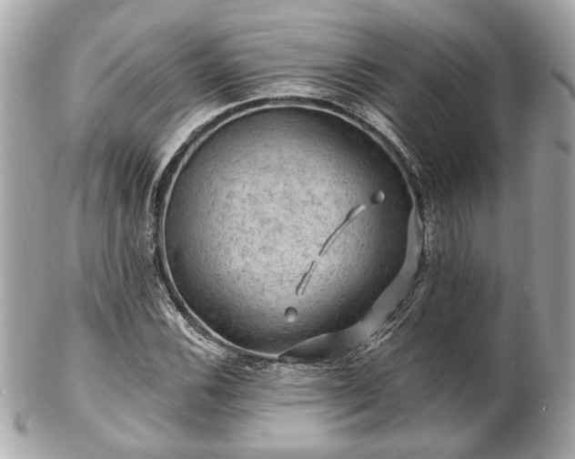 X0000102491116200808151449