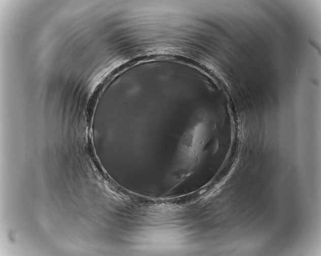 X0000102491117200808151449