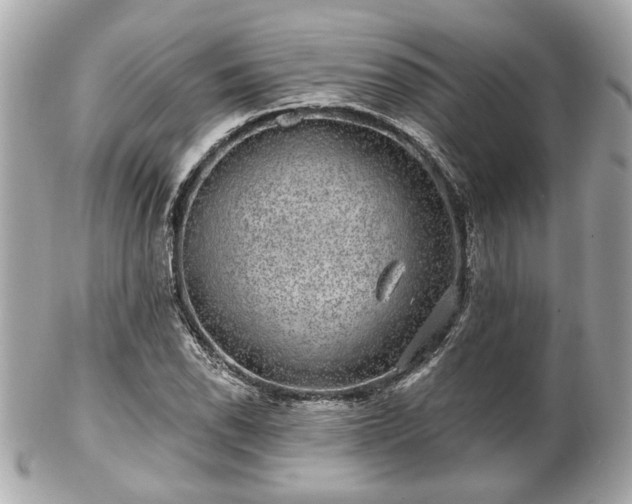 X0000102491118200808151449