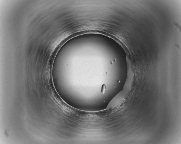 X0000102491119200808151449