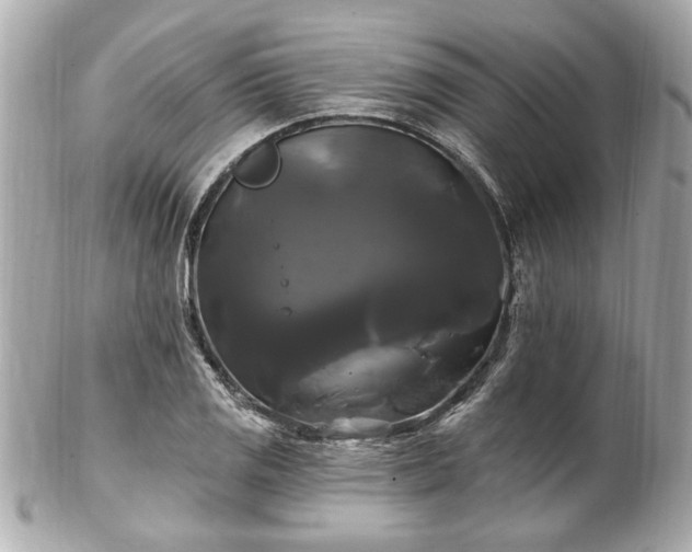 X0000102491125200808151449