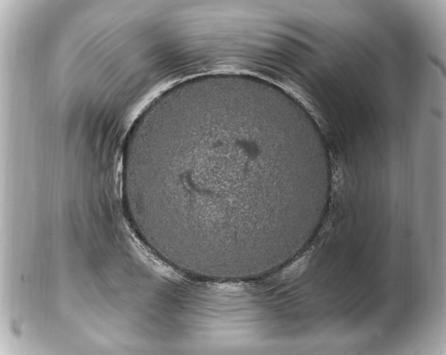 X0000102491126200808151449