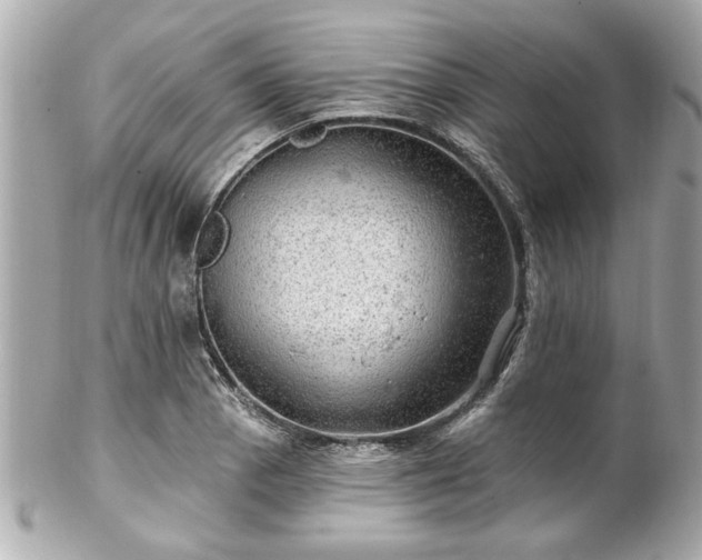 X0000102491129200808151449