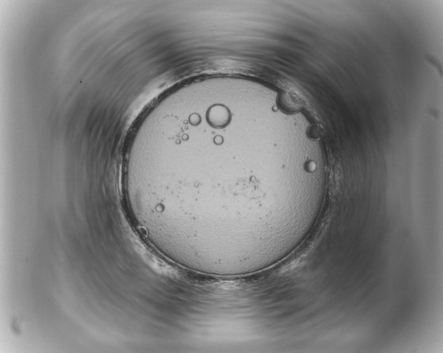 X0000102491130200808151449