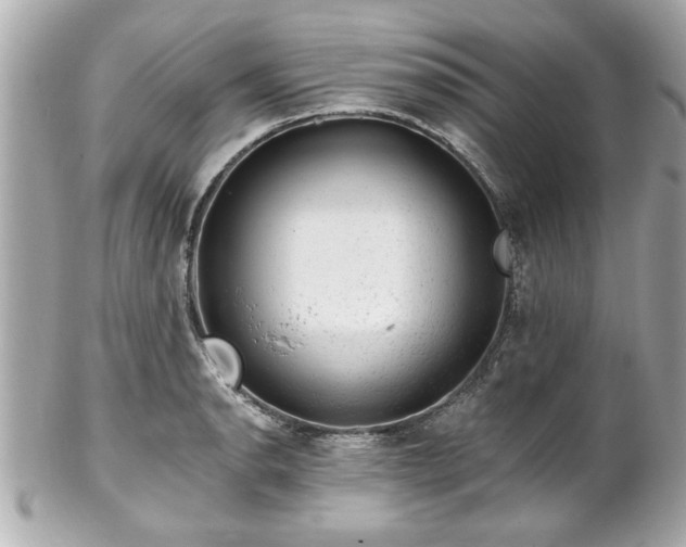 X0000102491134200808151450