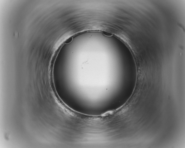 X0000102491135200808151450