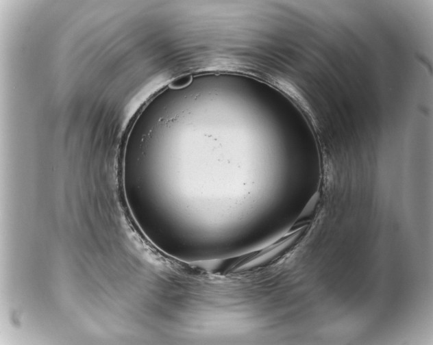 X0000102491138200808151450