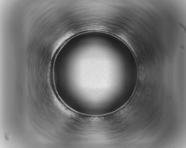 X0000102491139200808151450