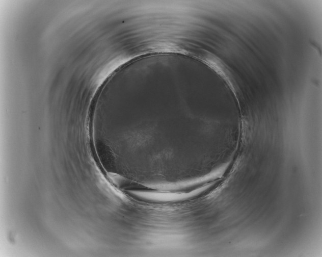 X0000102491141200808151450