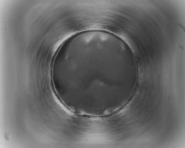 X0000102491142200808151450