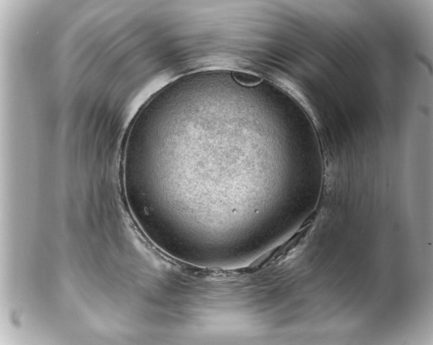 X0000102491146200808151450