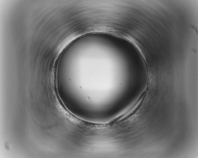 X0000102491147200808151450