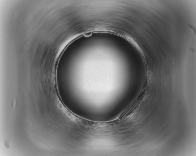 X0000102491148200808151450