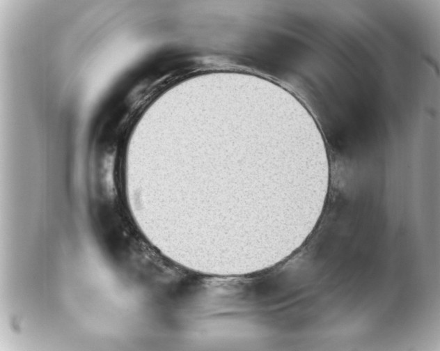 X0000102491150200808151450