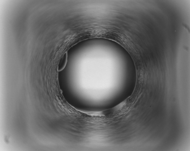 X0000102491153200808151449