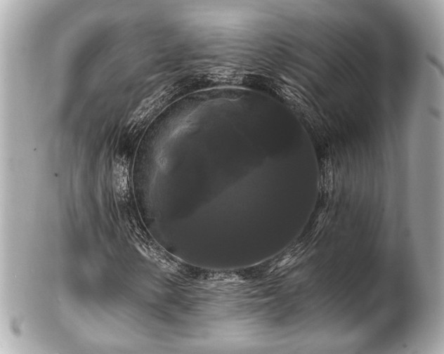 X0000102491154200808151449