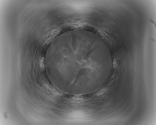 X0000102491156200808151449