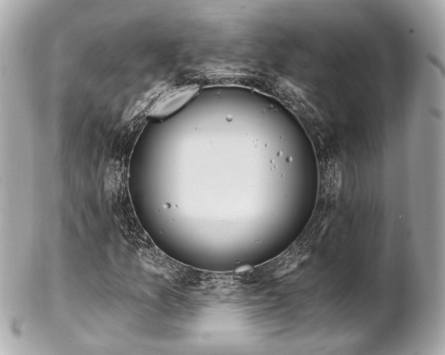 X0000102491157200808151449