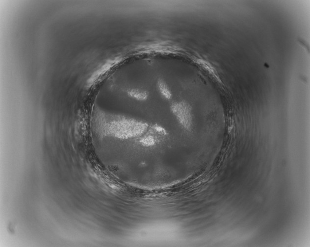 X0000102491159200808151449