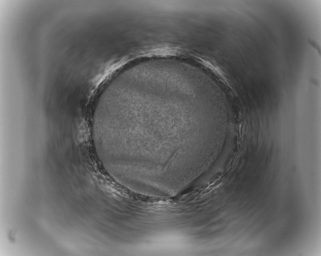 X0000102491160200808151449