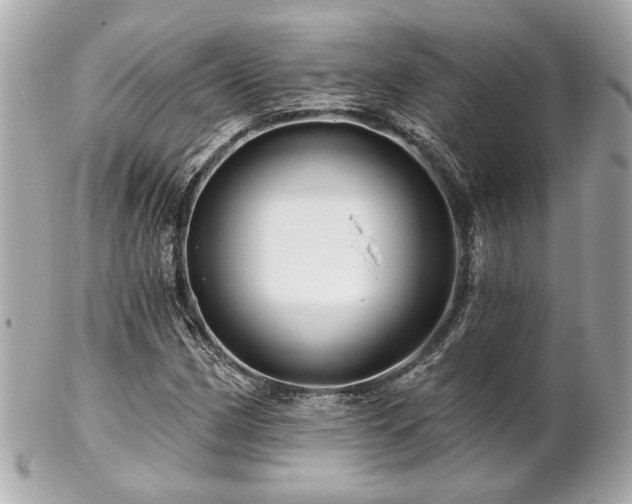 X0000102491162200808151449