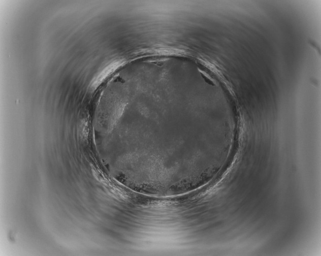 X0000102491163200808151449