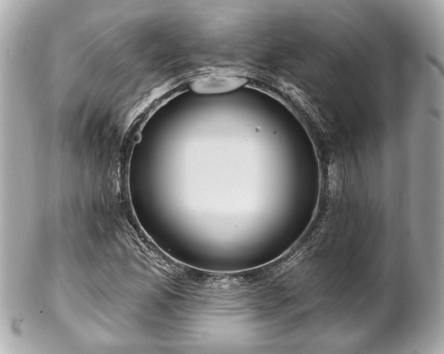 X0000102491165200808151449