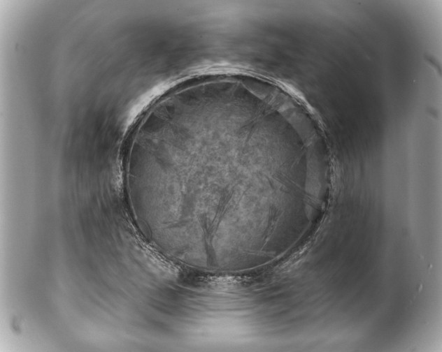 X0000102491167200808151449