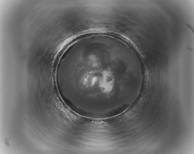 X0000102491168200808151449