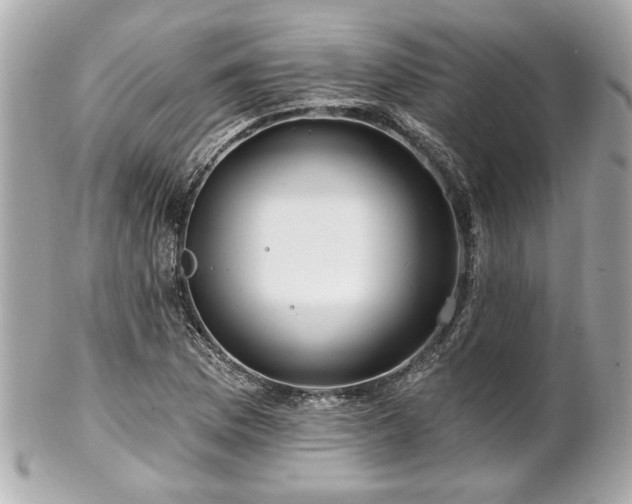 X0000102491169200808151449